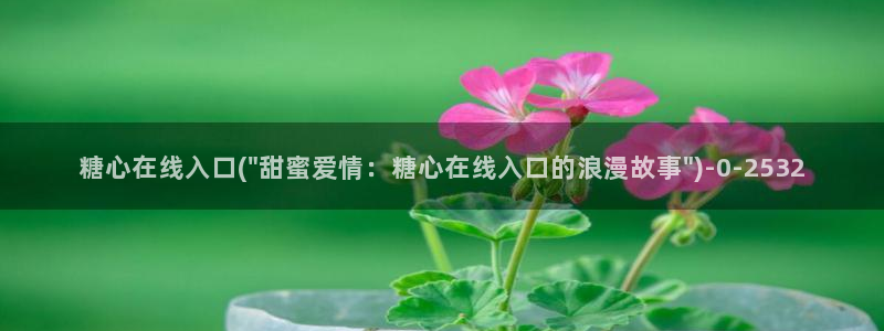糖心vlog入口免费
