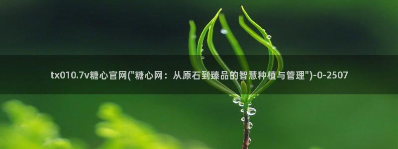 去糖心vlog