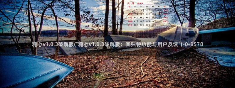 糖心vlog诈骗