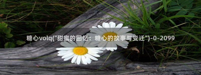 糖心vlog鸡教练