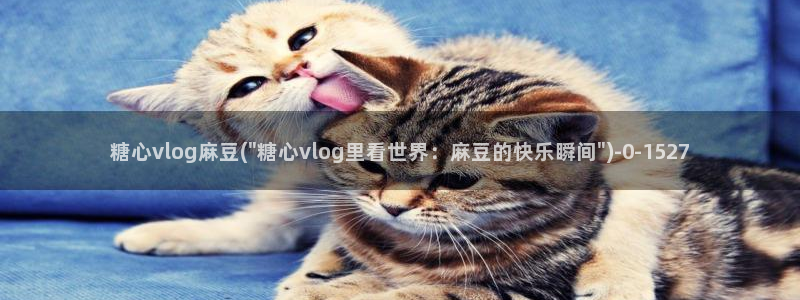 糖心传媒vlog