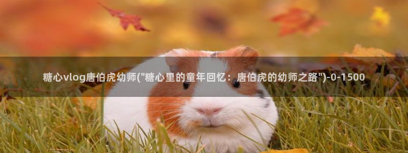 亚洲糖心vlog