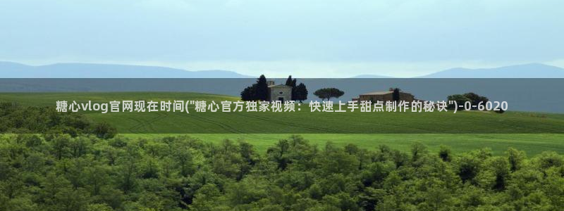 糖心vlog号