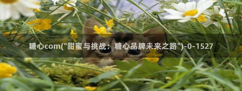 糖心vlog[奸笑]