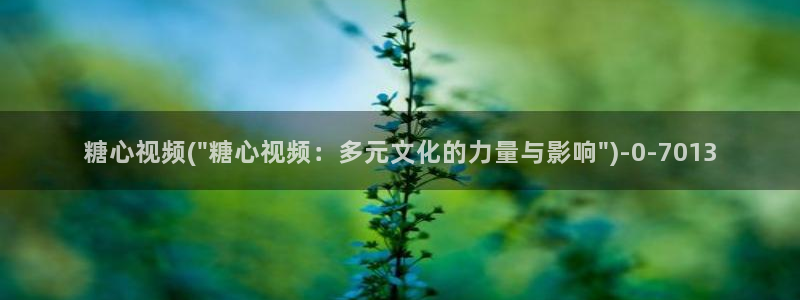 糖心vlog高清无码