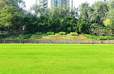 美食镜头细节拍摄技巧