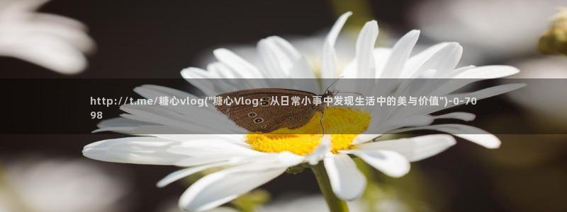 糖心的vlog