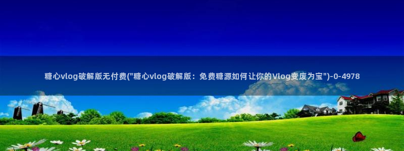 糖心vlog女
