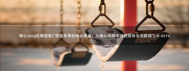 糖心vlog免费下载观看