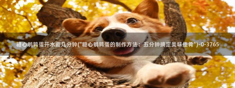 糖心vlog视频破解版