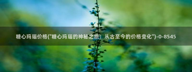 心糖vlog免费版在线观看免费